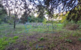 Terrain à vendre à Uzès — photo 4
