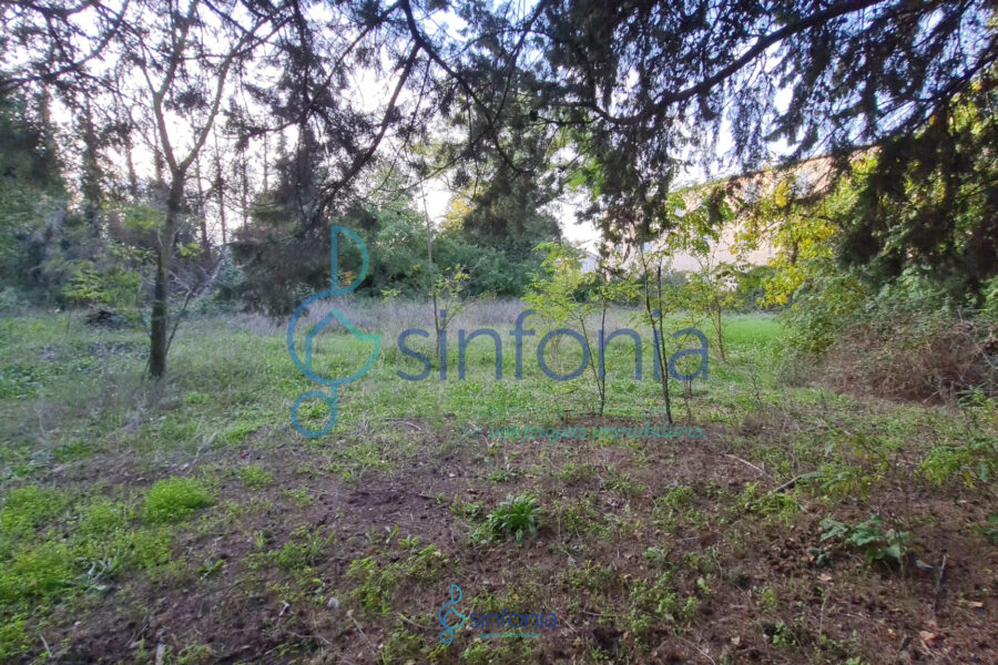 Terrain à vendre à Uzès — photo 4