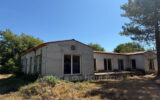 Maison à vendre à Saint-Cézaire-sur-Siagne — Vue parc & jardin — photo 2