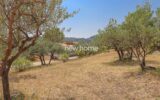 Maison à vendre à Seillans — Vue nature — photo 16