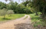 Maison à vendre à Grimaud — Vue nature — photo 13