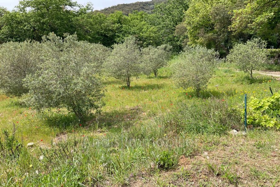 Maison à vendre à Grimaud — Vue nature — photo 12
