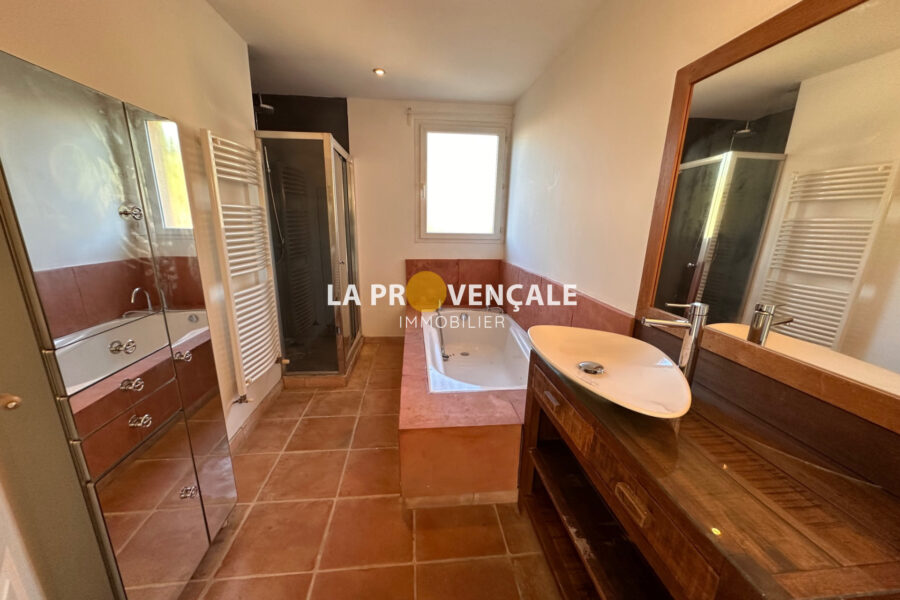 Maison à vendre à La Destrousse — Vue parc & jardin — photo 8