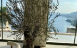 Maison en location vacances à Roquebrune-Cap-Martin — Vue mer — photo 23