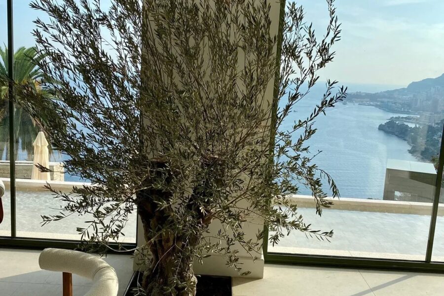 Maison en location vacances à Roquebrune-Cap-Martin — Vue mer — photo 23