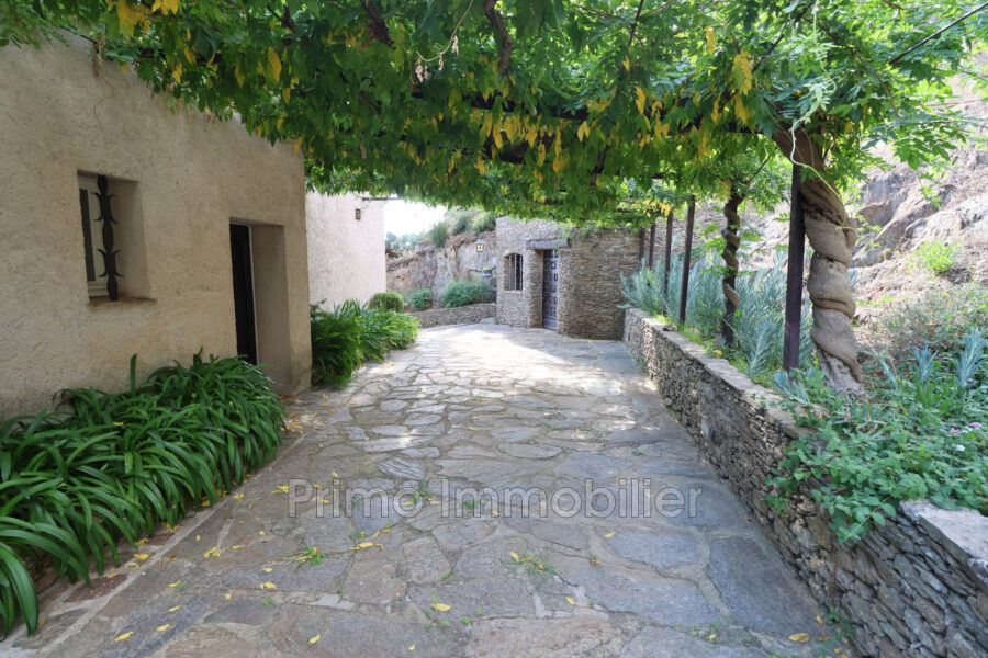 Maison à vendre à Grimaud — Vue nature — photo 19