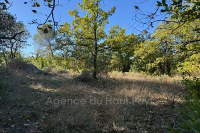 Terrain à vendre à Saint-Cézaire-sur-Siagne