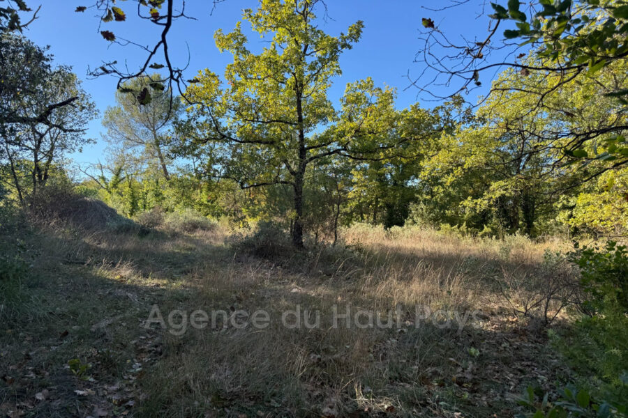 Terrain à vendre à Saint-Cézaire-sur-Siagne — Vue nature — photo 1