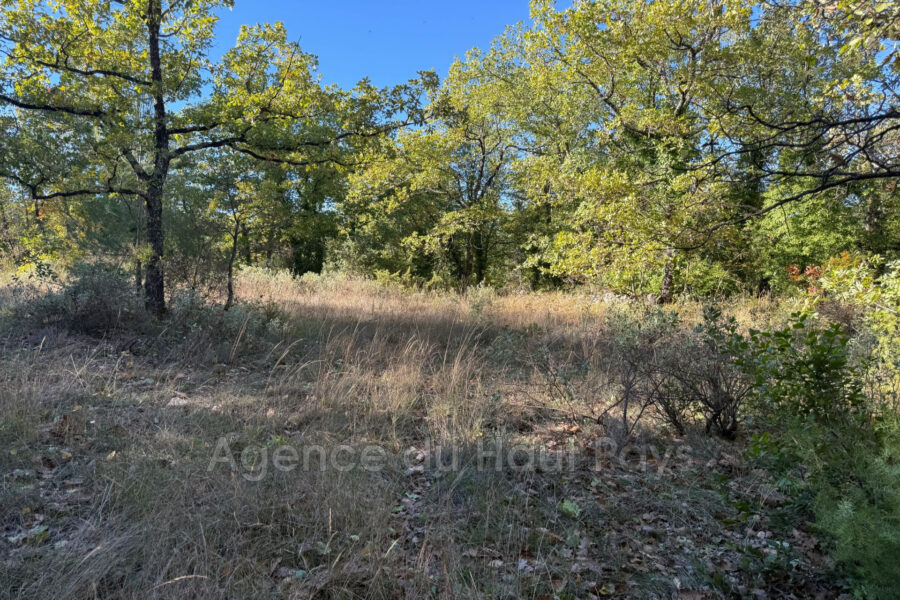 Terrain à vendre à Saint-Cézaire-sur-Siagne — Vue nature — photo 4