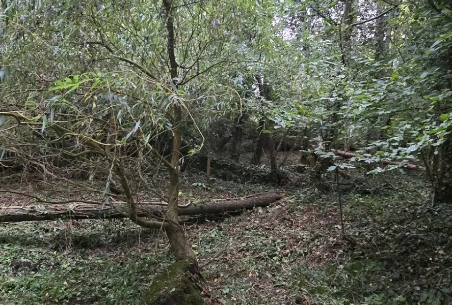 Terrain à vendre à Waterloo — Vue dégagée — photo 4