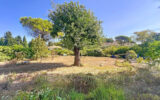 Maison à vendre à Châteauneuf-Grasse — Vue dégagée — photo 1
