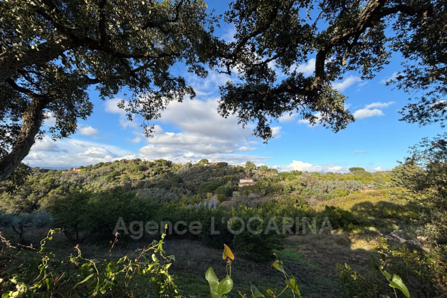 Terrain à vendre à La Roquette-sur-Siagne — Vue nature — photo 1