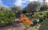 Maison à vendre à Opio — Vue nature — photo 12