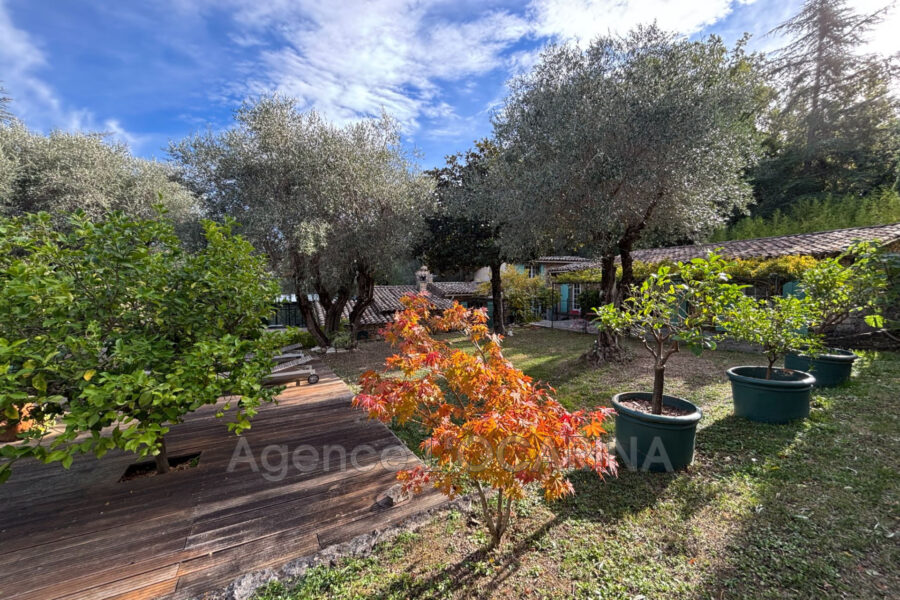 Maison à vendre à Opio — Vue nature — photo 12