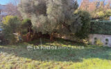 Maison à vendre à Villeneuve-Loubet — Vue parc & jardin — photo 4