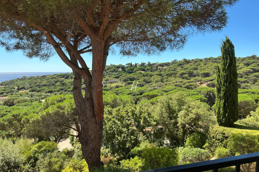 Appartement à vendre à La Croix-Valmer — Vue mer — photo 13