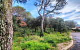 Terrain à vendre à Villeneuve-lès-Avignon — Vue nature — photo 3