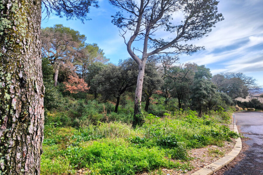 Terrain à vendre à Villeneuve-lès-Avignon — Vue nature — photo 3