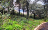 Terrain à vendre à Villeneuve-lès-Avignon — Vue nature — photo 6