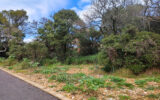 Terrain à vendre à Villeneuve-lès-Avignon — Vue nature — photo 7
