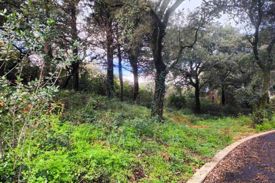 Terrain à vendre à Villeneuve-lès-Avignon — Vue nature — photo 8