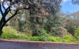 Terrain à vendre à Villeneuve-lès-Avignon — Vue nature — photo 9