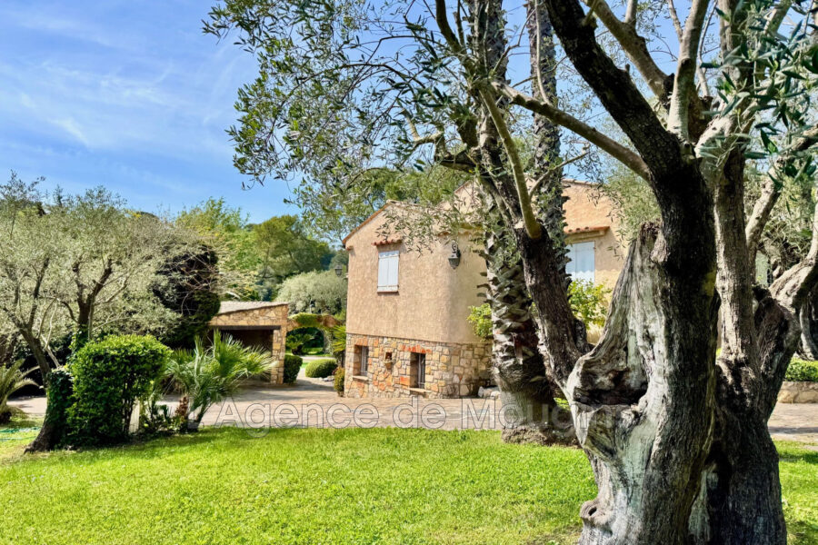 Maison à vendre à Mougins — Vue nature — photo 5