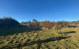 Maison à vendre à Grasse — Vue nature — photo 4