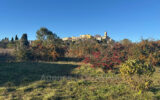 Maison à vendre à Grasse — Vue nature — photo 1
