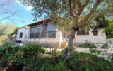 Maison à vendre à Draguignan — Vue parc & jardin — photo 2