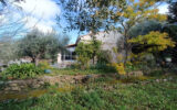 Maison à vendre à Draguignan — Vue parc & jardin — photo 4