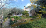 Maison à vendre à Draguignan — Vue parc & jardin — photo 12
