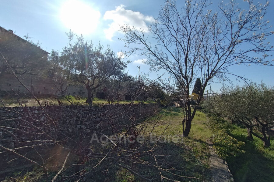 Maison à vendre à Draguignan — Vue parc & jardin — photo 10