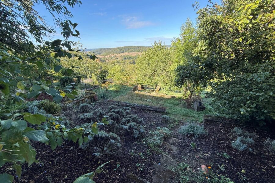 Appartement à vendre à Bourbonne-les-Bains — Vue nature — photo 26