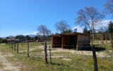 Maison à vendre à Saint-Jean-Pla-de-Corts — Vue nature — photo 16