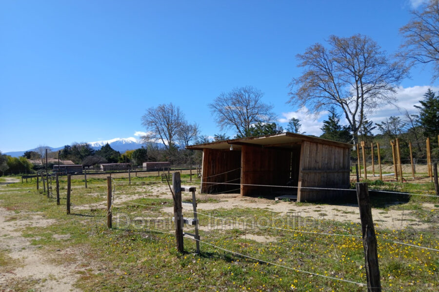 Maison à vendre à Saint-Jean-Pla-de-Corts — Vue nature — photo 16