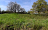 Terrain à vendre à Ambarès-et-Lagrave — Vue nature — photo 2