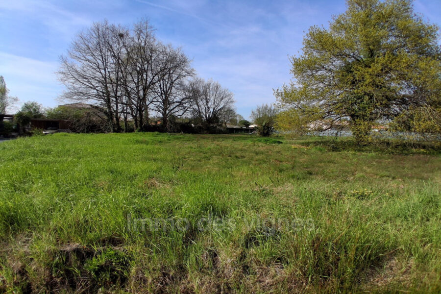 Terrain à vendre à Ambarès-et-Lagrave — Vue nature — photo 2