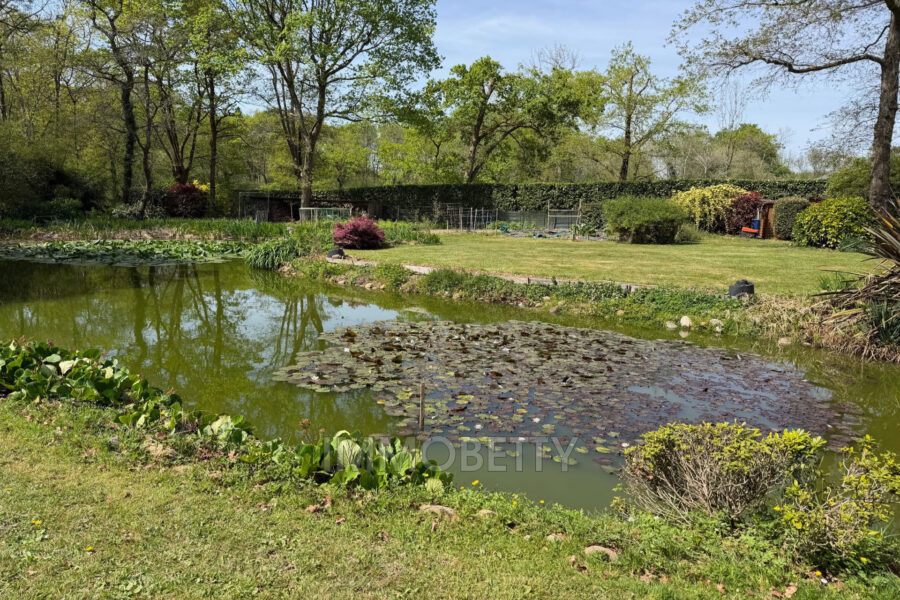 Maison à vendre à Maucor — Vue nature — photo 6