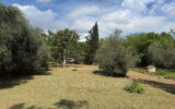 Terrain à vendre à Saint-Cézaire-sur-Siagne — Vue dégagée — photo 1