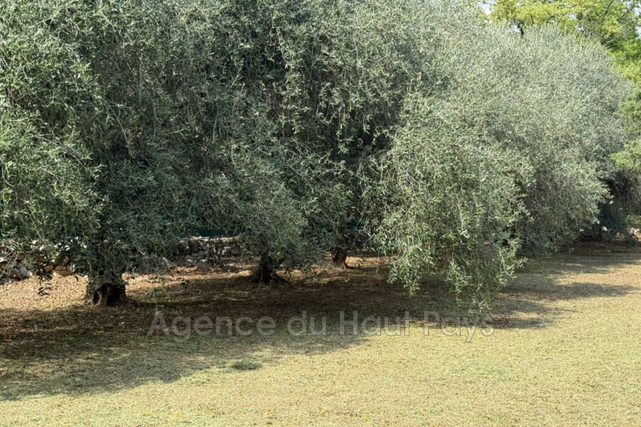 Terrain à vendre à Saint-Cézaire-sur-Siagne — Vue dégagée — photo 7