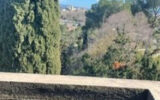 Maison à vendre à Villeneuve-lès-Avignon — Vue nature — photo 10