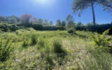 Terrain à vendre à Peymeinade — Vue nature — photo 1