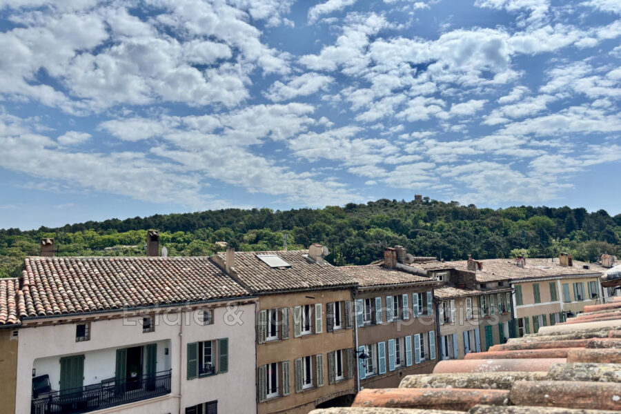 Appartement à vendre à La Garde-Freinet — Vue nature — photo 11