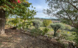 Maison à vendre à Grasse — Vue mer — photo 7