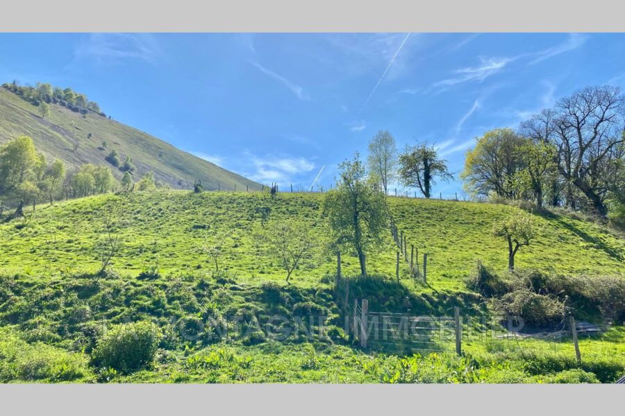 Maison à vendre à Vallee-de-Castelloubon — Vue montagne — photo 1