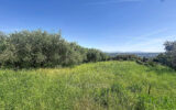 Terrain à vendre à Saint-Laurent-du-Var — Vue nature — photo 1