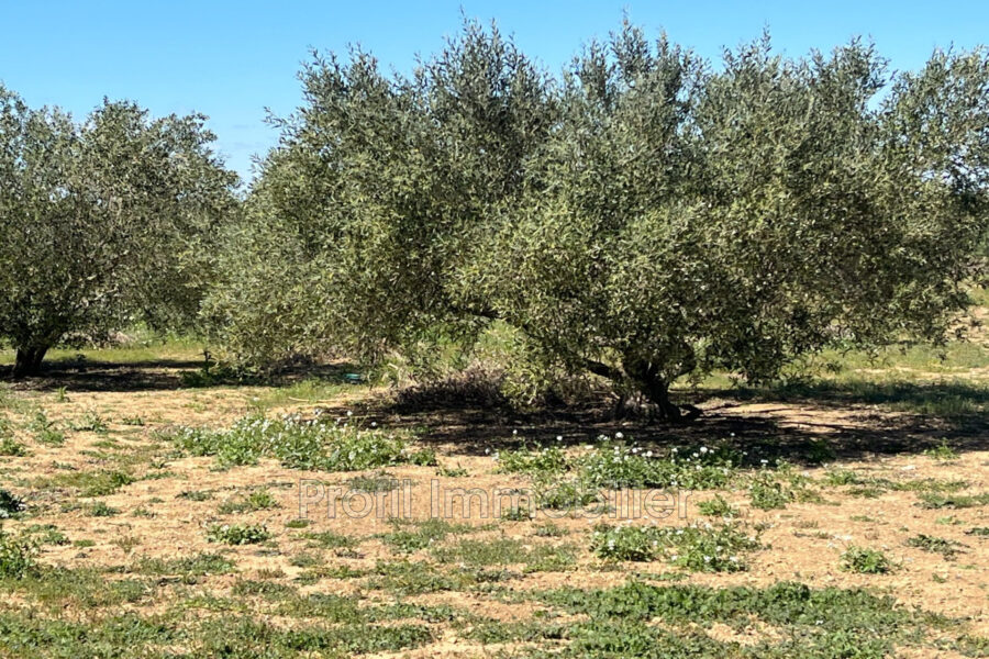 Terrain à vendre à Marsillargues — Vue nature — photo 6