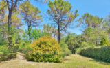 Maison à vendre à Lorgues — Vue nature — photo 1