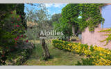 Maison à vendre à Aureille — Vue nature — photo 3
